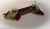 Gordon-Ramsey-Restaurant-3.jpg Gordon-Ramsey-Restaurant-3.jpg