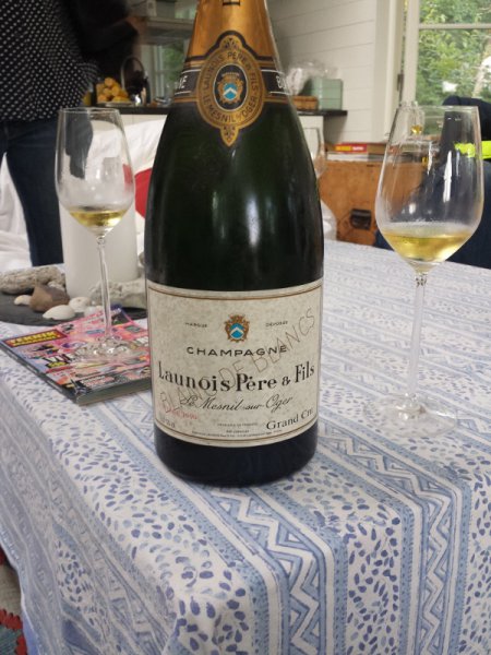 20140715_204124 (600x800).jpg