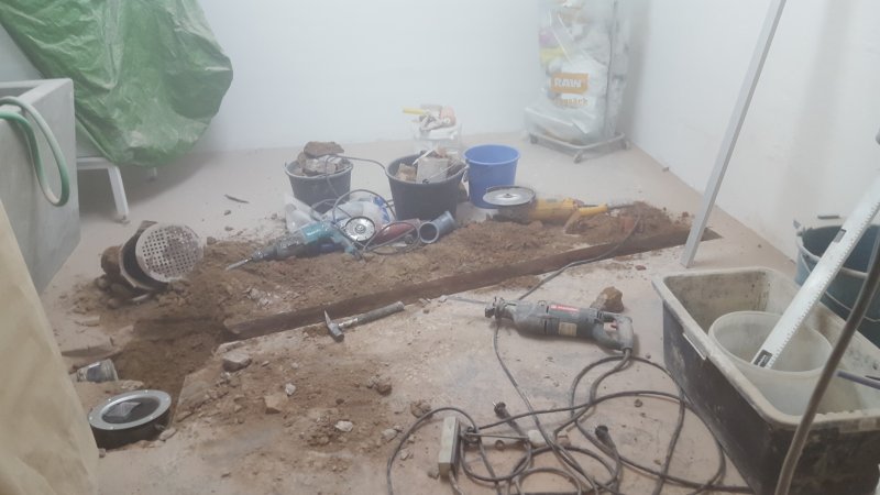20151116_113814.jpg