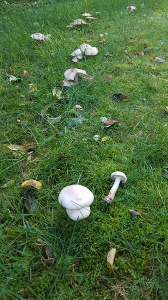 20171012_164803.jpg