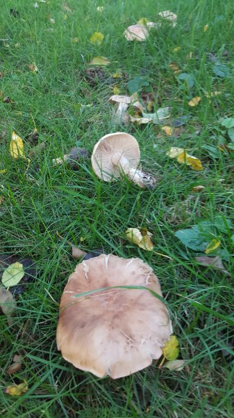 20171012_164828.jpg