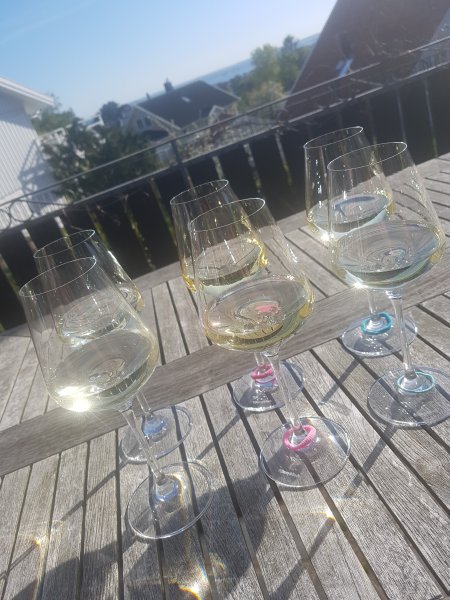 20180509_174605.jpg