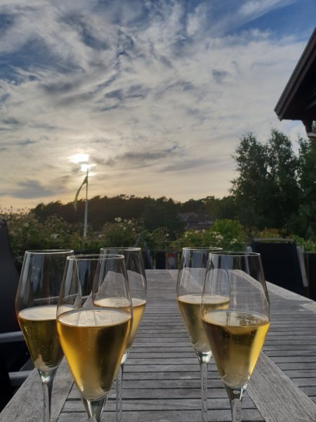 20180801_195511.jpg