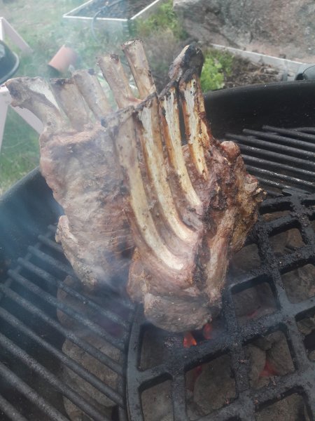 20190527_193023.jpg