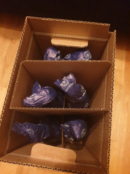 20201228_104732.jpg