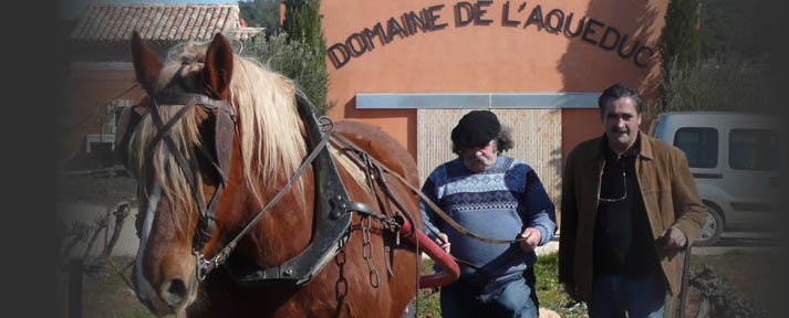 Aqueduc häst.jpg