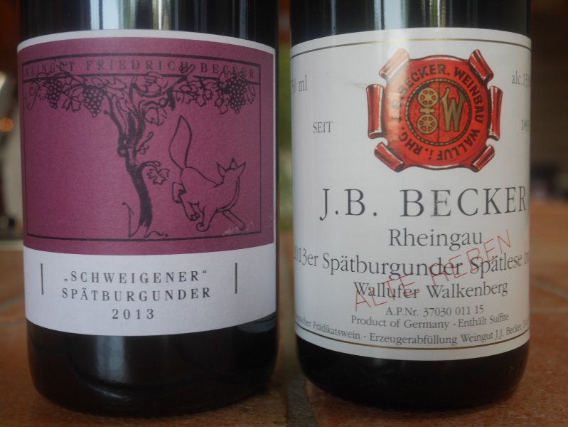 becker 2013 vs becker 2013.jpg