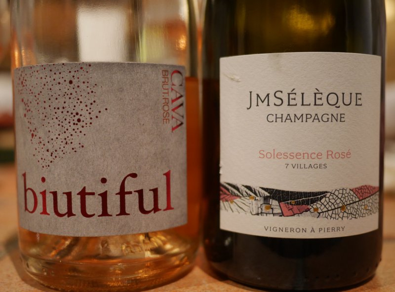 biutiful seleque rose.jpg
