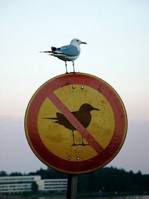 breakrules.jpg