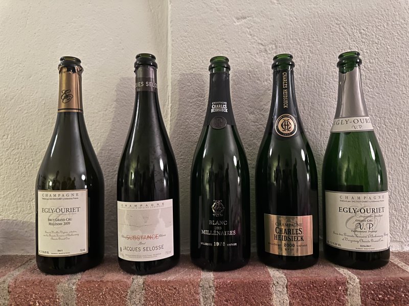 BYOB January 2025.jpeg