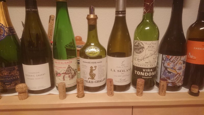 DSC_1005.JPG