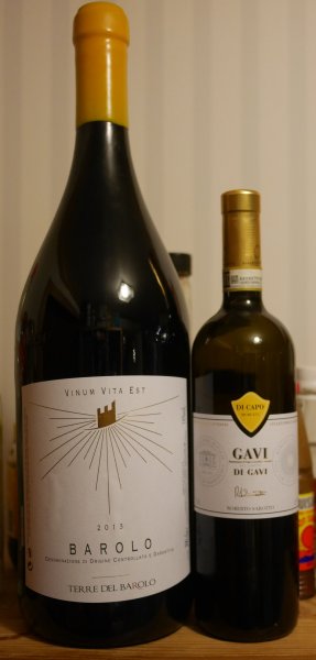 Gavi.jpg