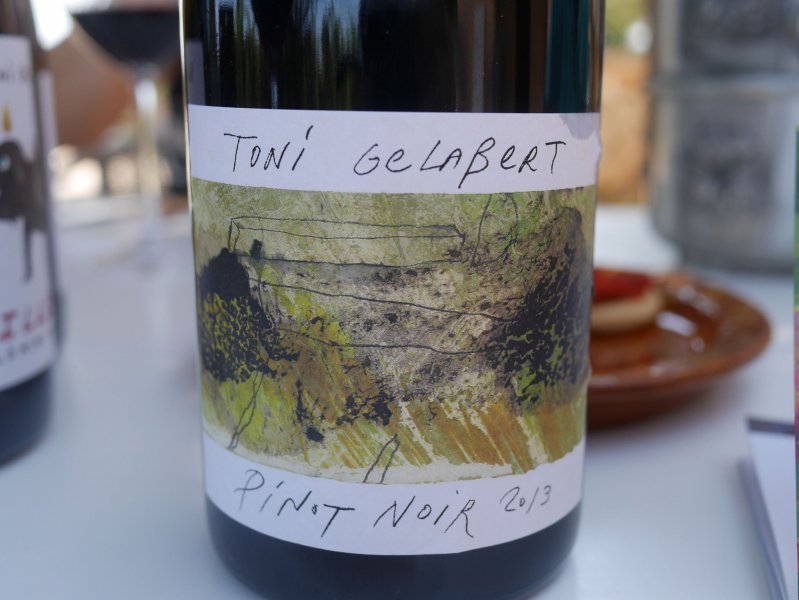 gelabert pinot n.jpg
