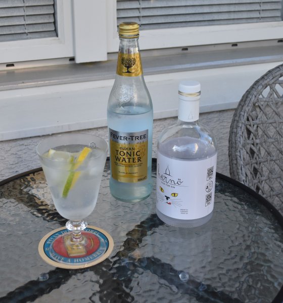gin2.jpg