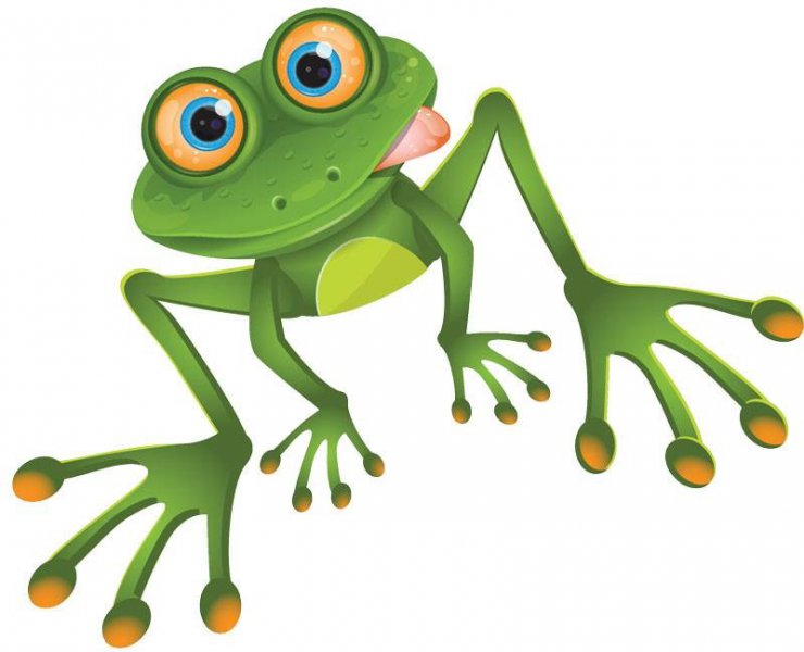 image.jpg