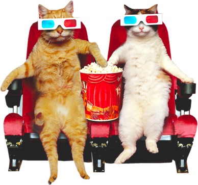 image.jpg