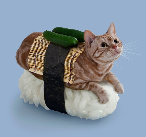 image.jpg