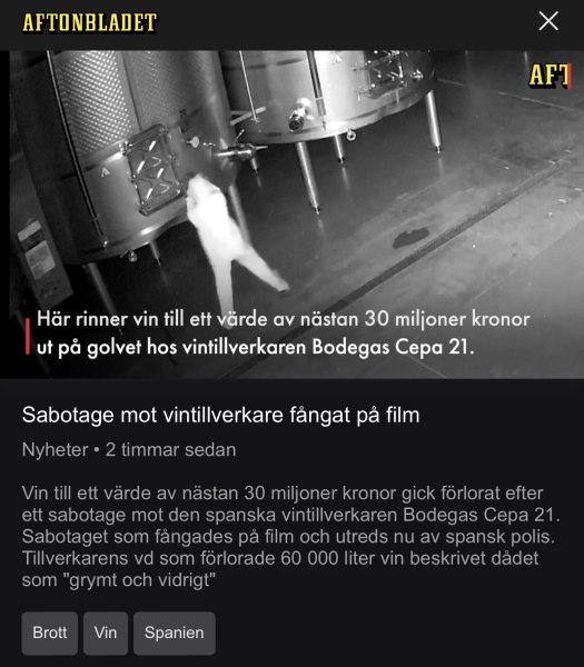 IMG_6266.jpeg
