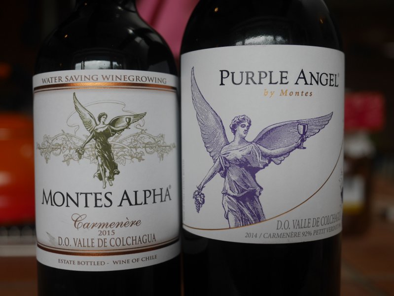 montes purple angel.jpg