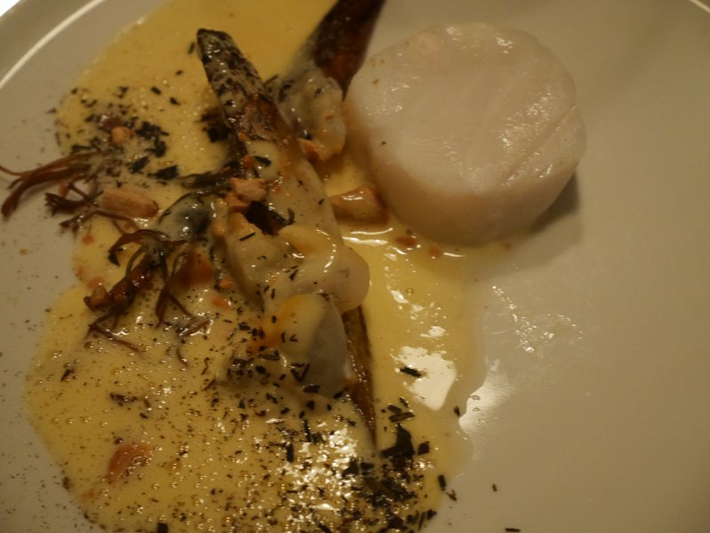P1000093.JPG