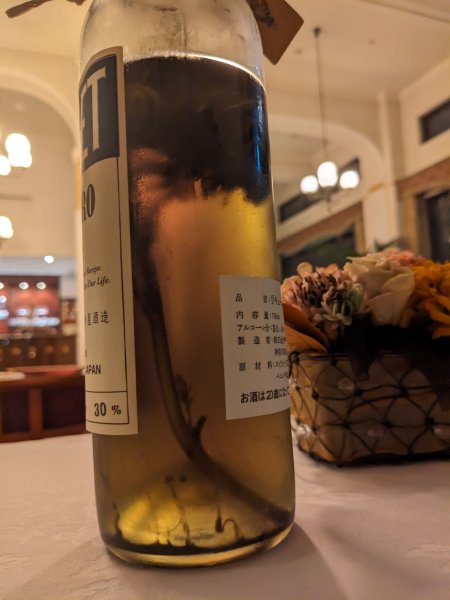 PXL_20230910_110254201.jpg