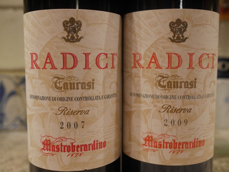 radici 2007 2009.jpg