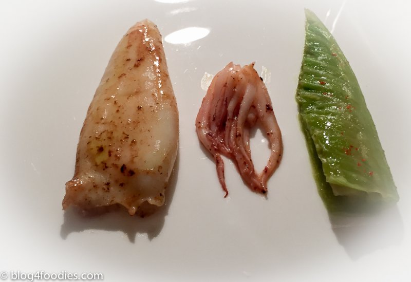 reale-2_squid.jpg