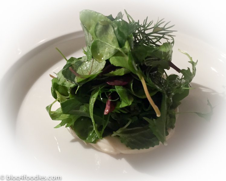 reale-3_sallad.jpg