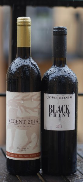 regent black print.jpg