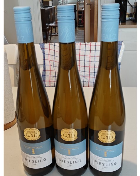 Reisling 2024.jpeg
