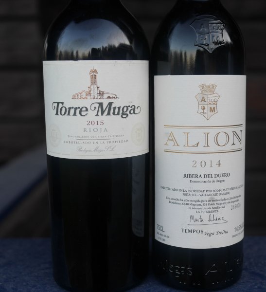 torre muga alion.jpg