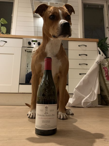 vin2.jpg