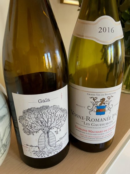 vino 1.jpg