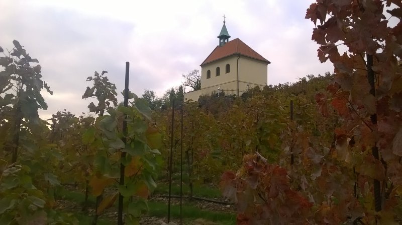 WP_20141030_006.jpg
