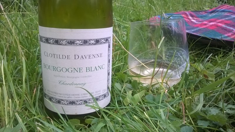 WP_20160624_002.jpg