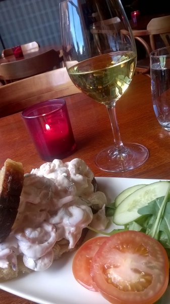 WP_20160806_003.jpg